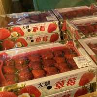 上引水產🦐🦑🦞🦀🐟