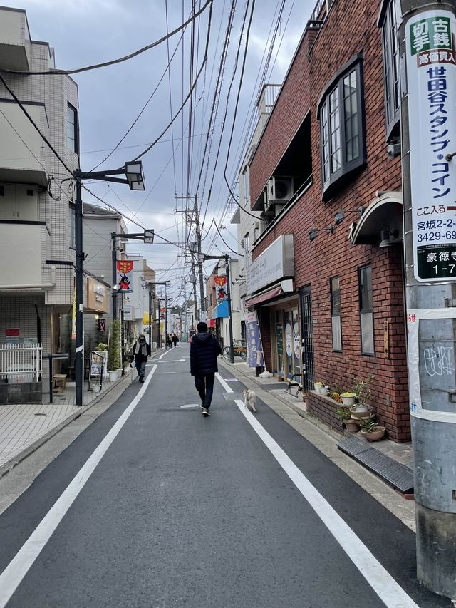 🇯🇵東京🫶🏻愛貓之人必去地方🐱❤️豪德寺📸