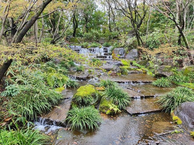 Himeji Castle and its Gardens 🏯