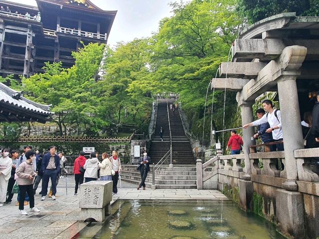 Kiyomizu-dera Temple | Kyoto Japan🇯🇵