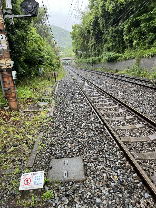 抹茶控🍵必去📸