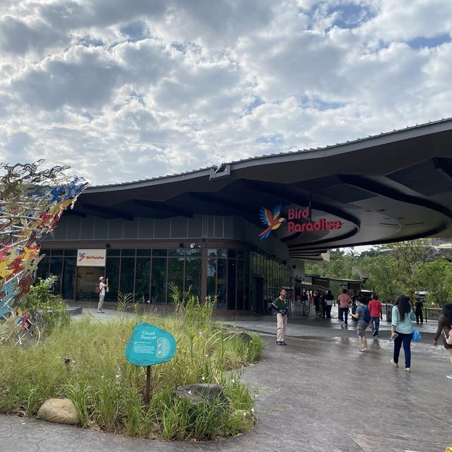 🦜Bird Paradise this holiday! 