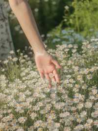 เดินเล่นฟีลเจ้าหญิงในสวนดอกไม้ I love flower farm