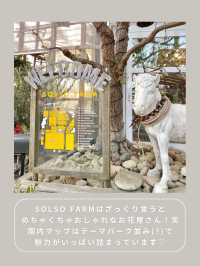 【川崎】インスタ映え抜群なお花屋さん🌼