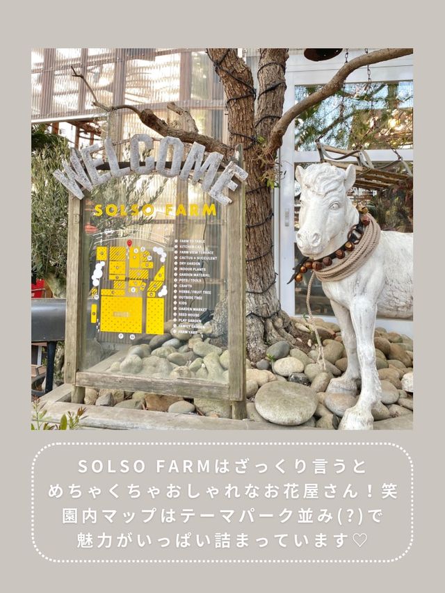 【川崎】インスタ映え抜群なお花屋さん🌼