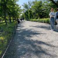 Motorikyu Nijo castle garden 