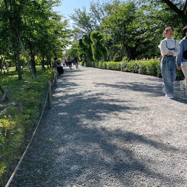 Motorikyu Nijo castle garden 