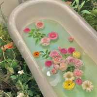 꽃욕조 포토존이 있는 대구 감성카페  🌼🍃🌸