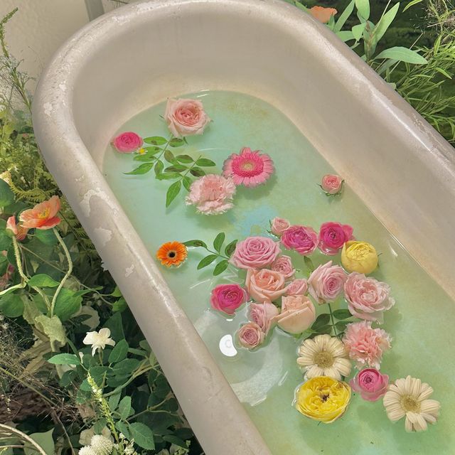 꽃욕조 포토존이 있는 대구 감성카페  🌼🍃🌸