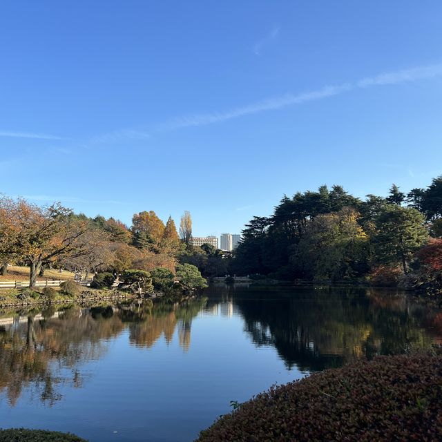 일본의 센트럴파크, 도쿄 신주쿠쿄엔 