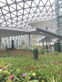 สวนดอกไม้ Miracle of nature 
