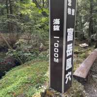 富岳風穴 WIND CAVE
