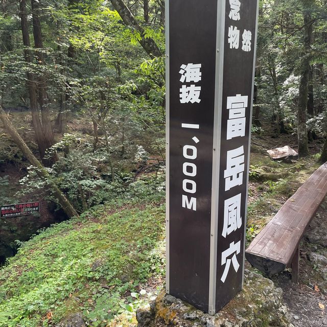 富岳風穴 WIND CAVE