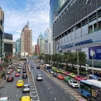 Land of Free Thailand