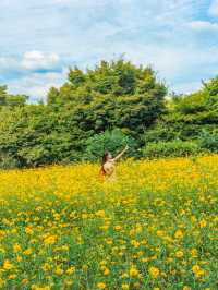 지금 서울에서 가장 먼저 달려가야 할 곳🌼 
