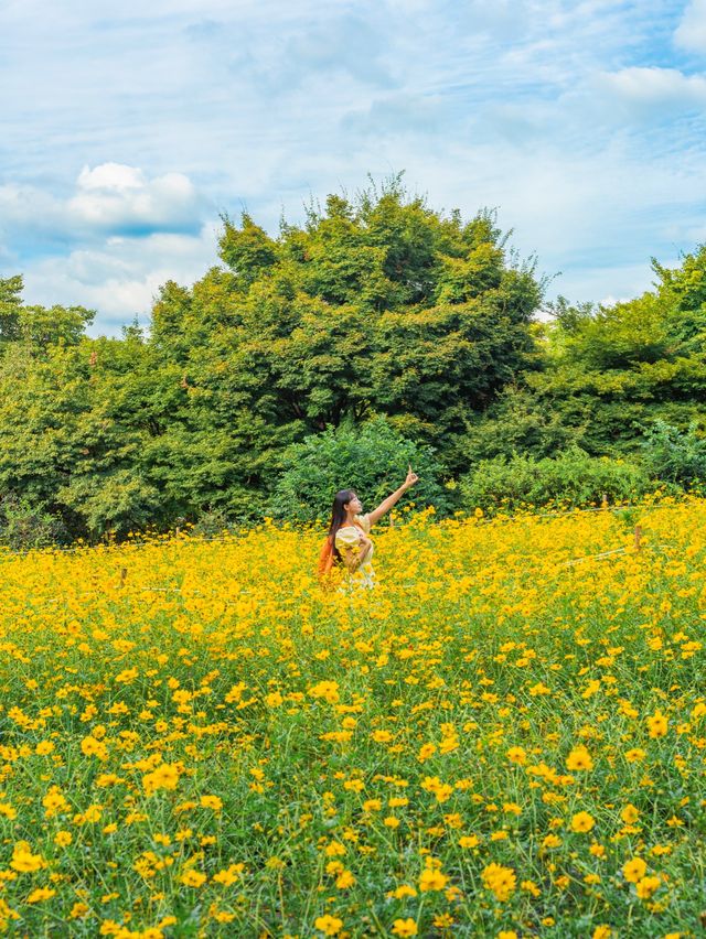지금 서울에서 가장 먼저 달려가야 할 곳🌼 