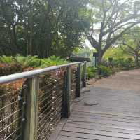 Roma Street Parkland Brisbane
