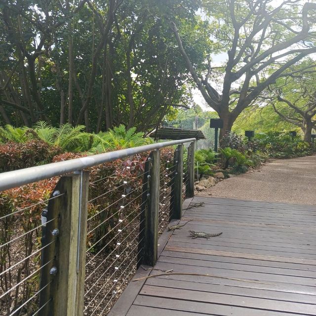 Roma Street Parkland Brisbane