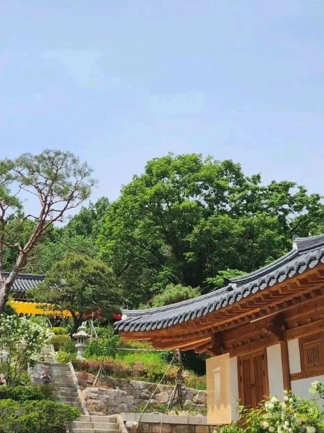 서울 도심 속 힐링 나들이🌿 봉은사