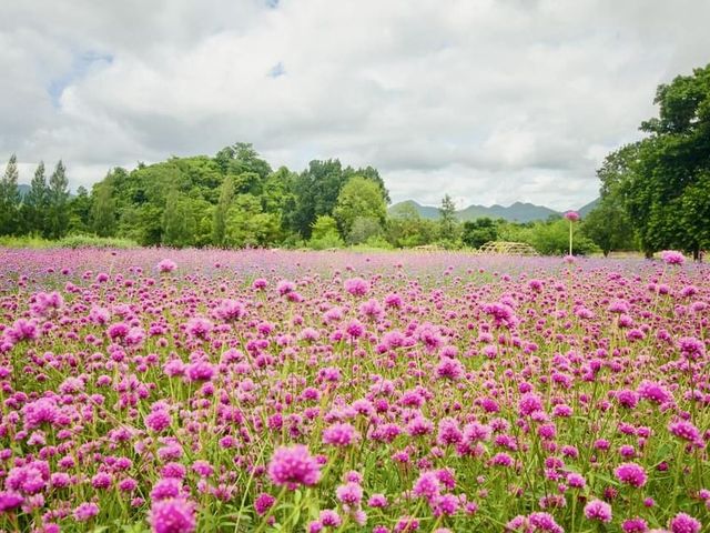 Secret Khao Yai  Flower garden