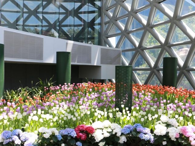 Miracle of Natural สวนดอกไม้เมืองหนาว 🌸🌹🌻💐