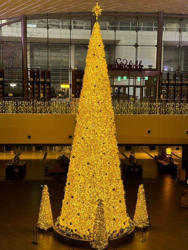 세상 제일 반짝이는 서점✨ 황금빛 대형트리 혼자 즐기는 방법🎄