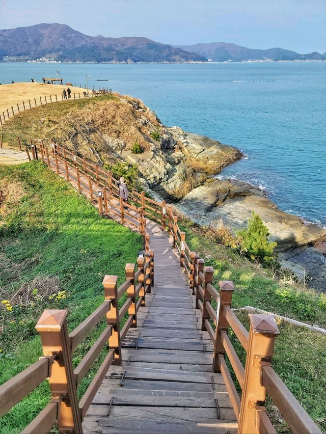 언제가도 멋진 오션뷰 바람의 언덕✨️