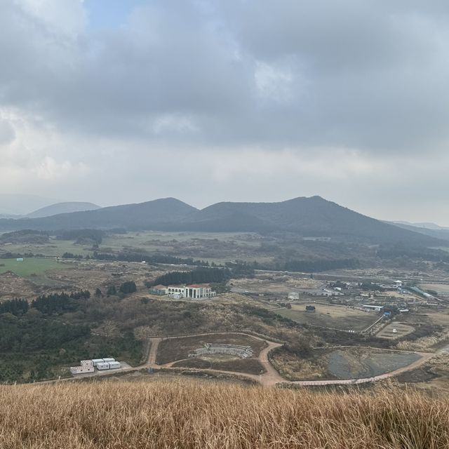 제주 황금억세 가득한 새별오름의 감동샷