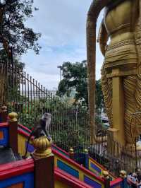 Batu Caves Selangor ⛰️✨