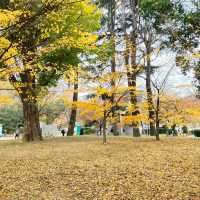 ใบไม้เปลี่ยนสีที่โตเกียว...Ueno Park