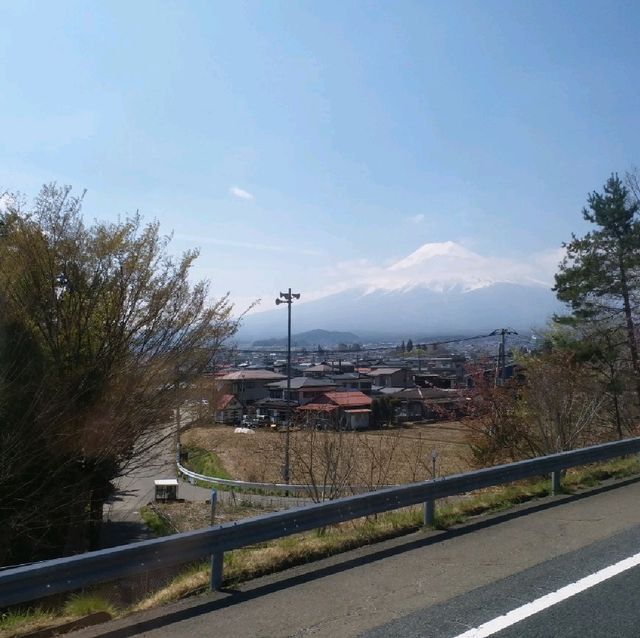 朝聖富士山第一景 淺間公園(part1)