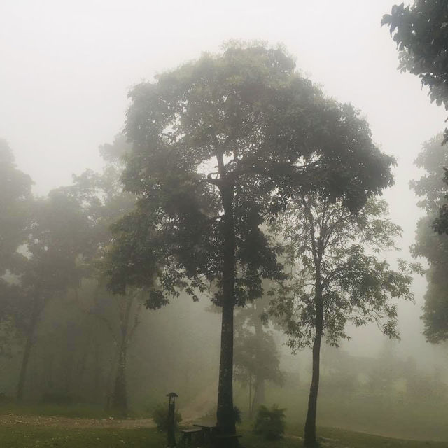 อุทยานแห่งชาติทองผาภูมิ