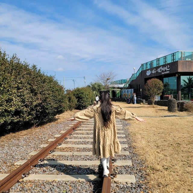 제주의 대자연을 레일 바이크를 타며 느껴보기🛺