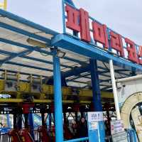 온가족이 즐기는 어린이대공원 패밀리 코스타🎢