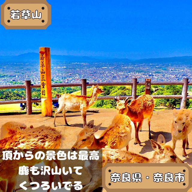若草山