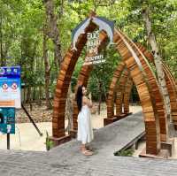 Maya Bay Phi Phi Island