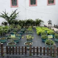 Luís de Camões Plant Nursery