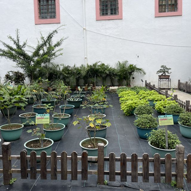 Luís de Camões Plant Nursery
