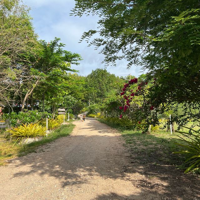 ที่พักคืนละ 500 รวมอาหารเช้า@บ้านไร่อารียา ราชบุรี