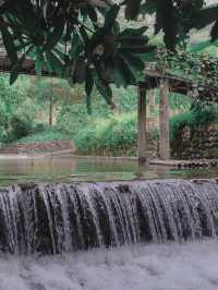 บ้านในหมง Treehouse 
