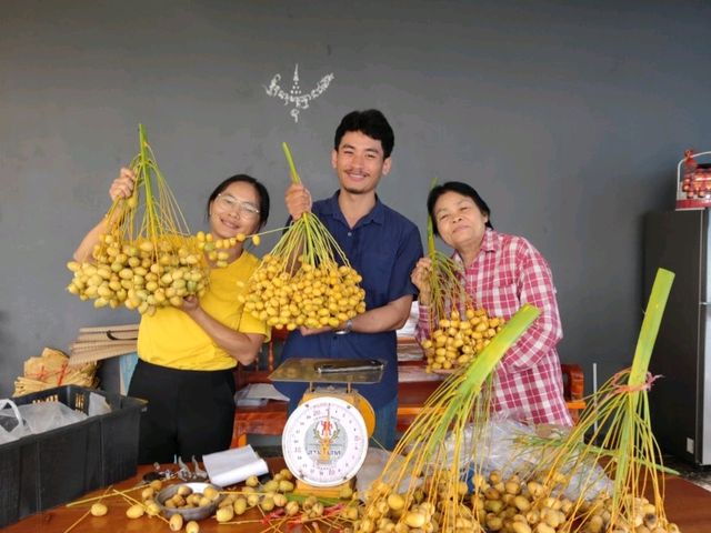 ฟาร์มเกษตรพันธุ์ดี