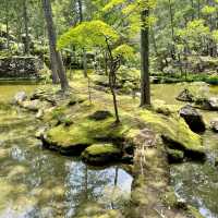 【京都】緑あふれる苔寺「西芳寺」