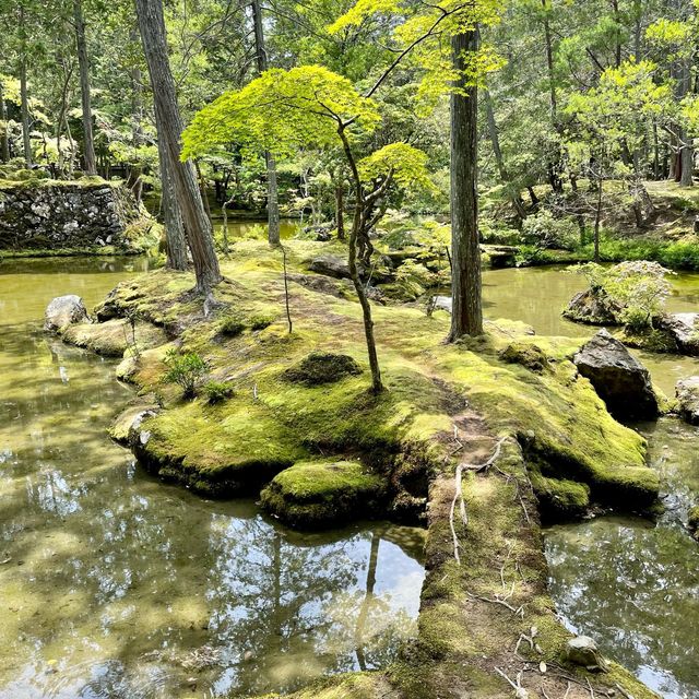 【京都】緑あふれる苔寺「西芳寺」