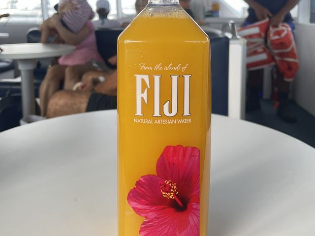 斐濟🇫🇯楠迪｜Bula!🌺🌺自由行🚶🏼