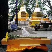 วัดพระธาตุดอยตุง