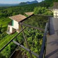 สัมผัสธรรมชาติที่ Caligo Resort