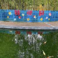 深圳市兒童樂園🧬童趣滿載🎠🎈🎉