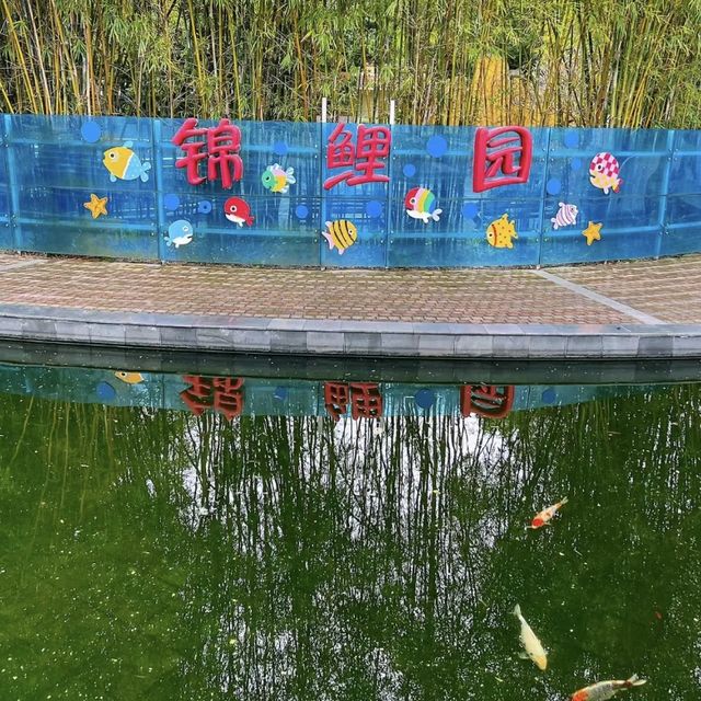深圳市兒童樂園🧬童趣滿載🎠🎈🎉
