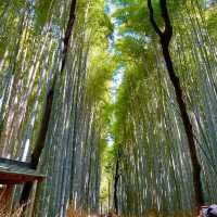 【京都府】人気の竹林の小径をのんびりお散歩！