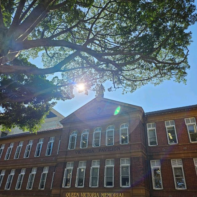 參觀澳洲歷史最悠久的大學🏫
